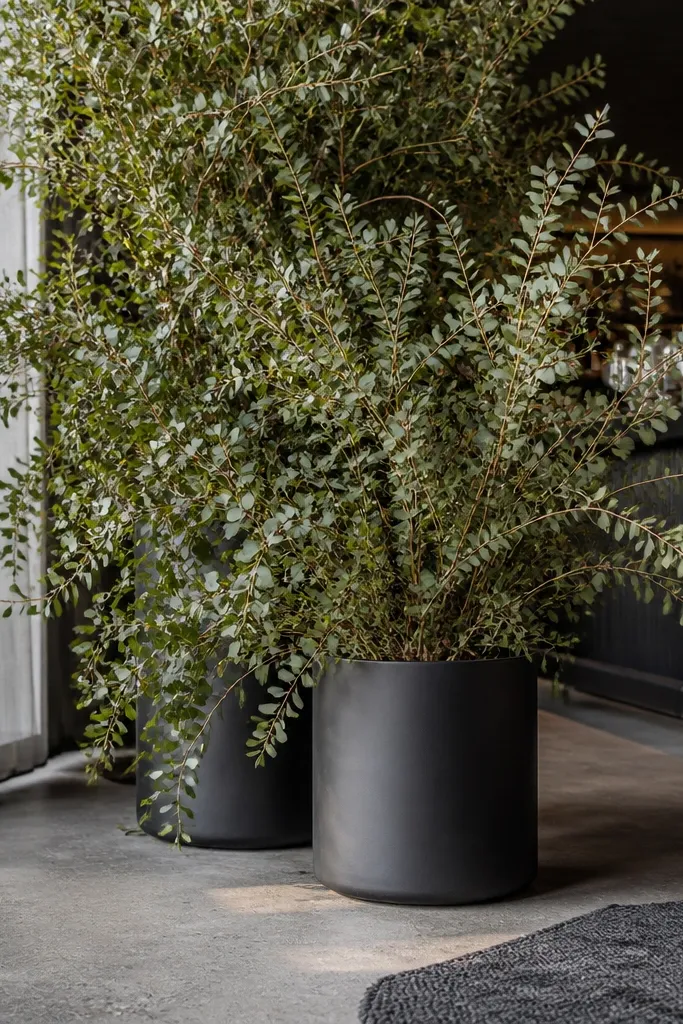 Matte black planters with tall eucalyptus-style greenery